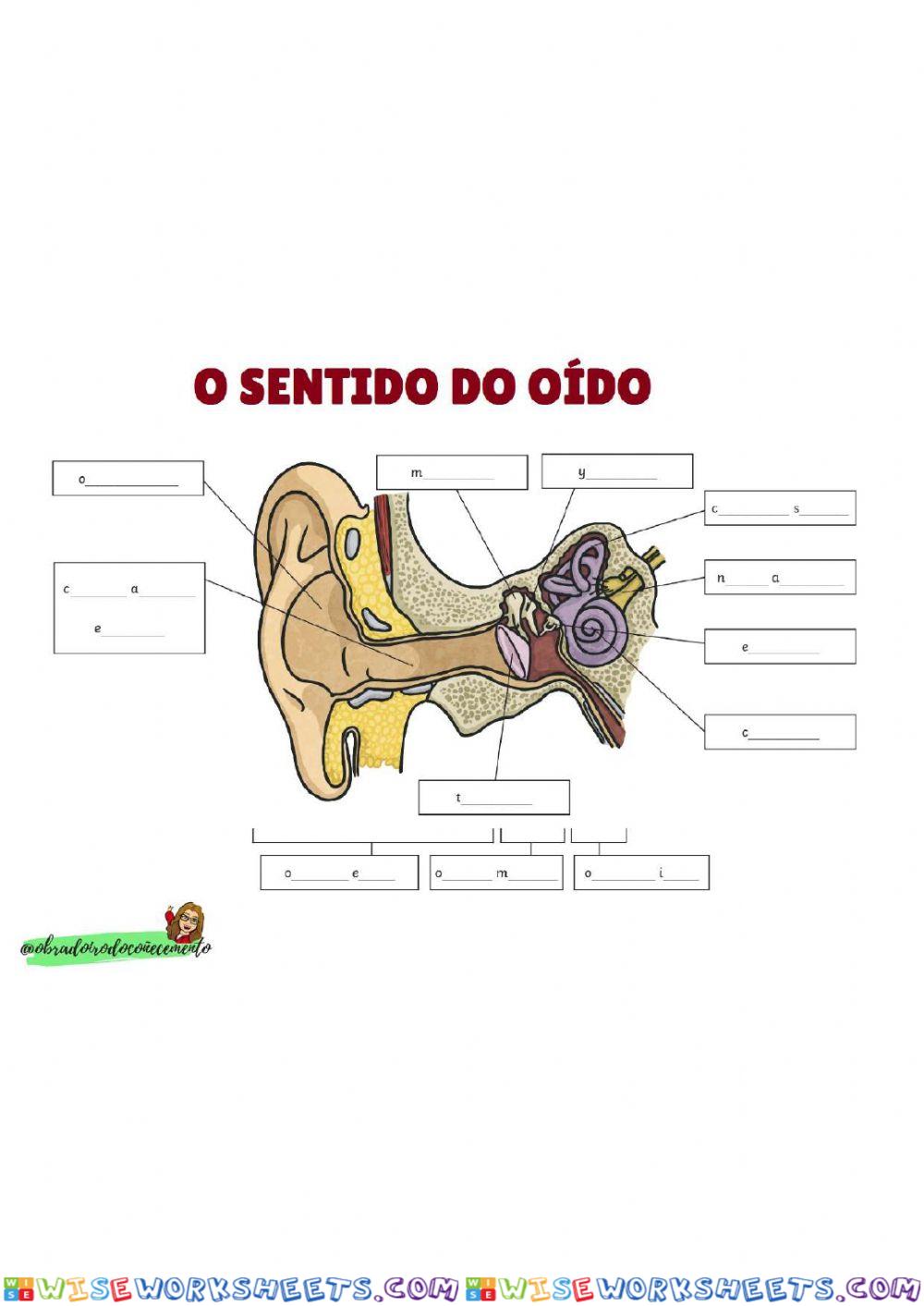worksheet
