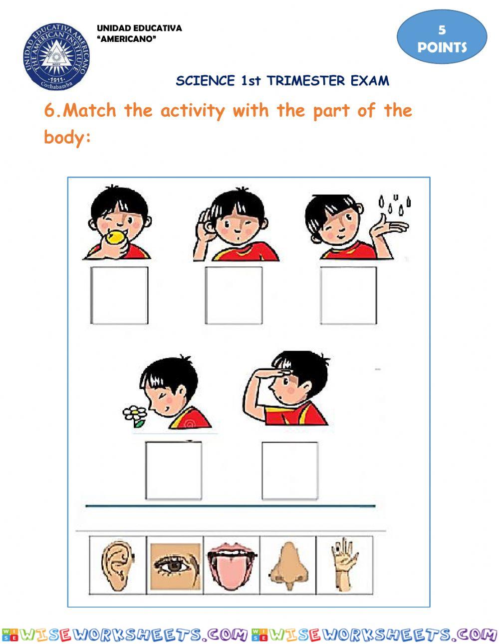 Science 1° trimester evaluation (4)
