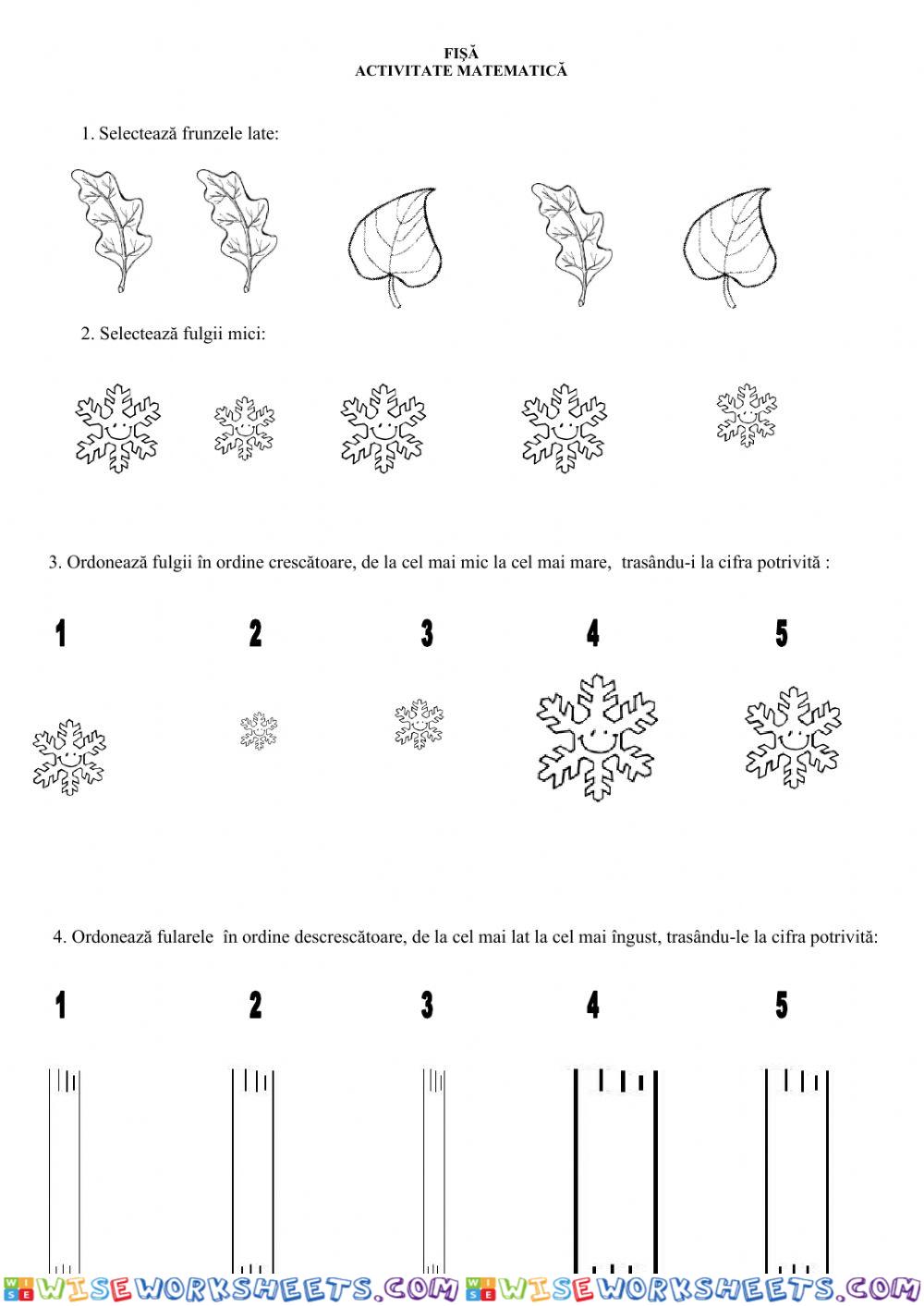 Fisa matematica