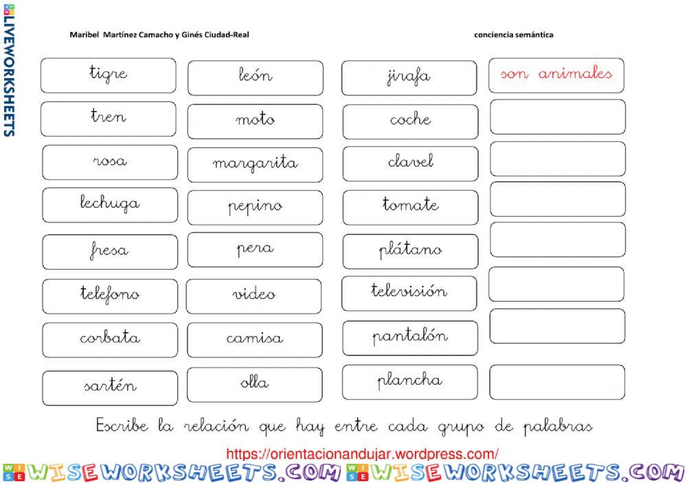 ¿Qué característica tienen en común?