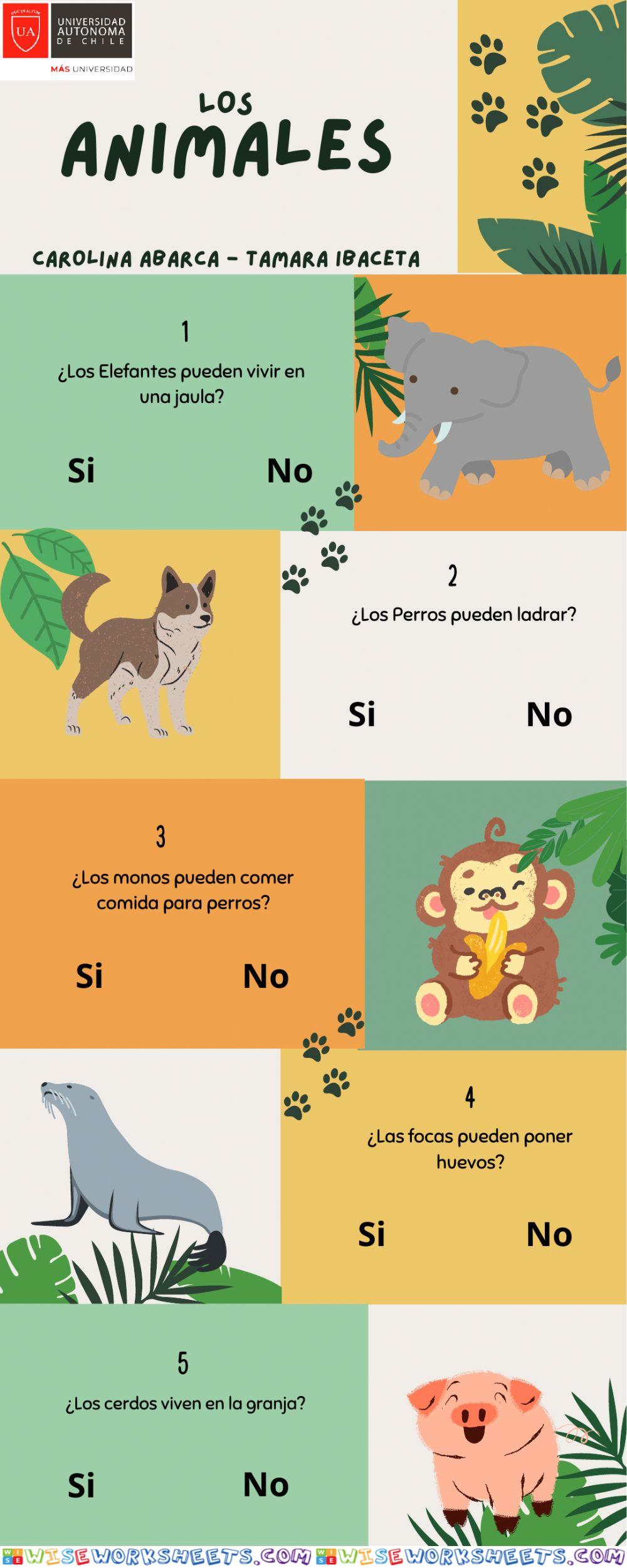 El mundo de los animales