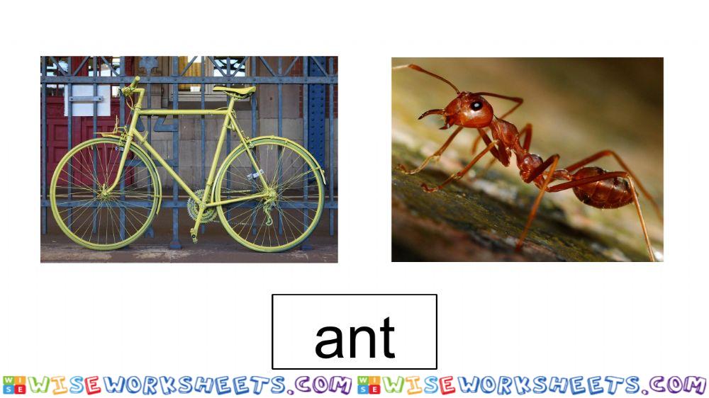 worksheet
