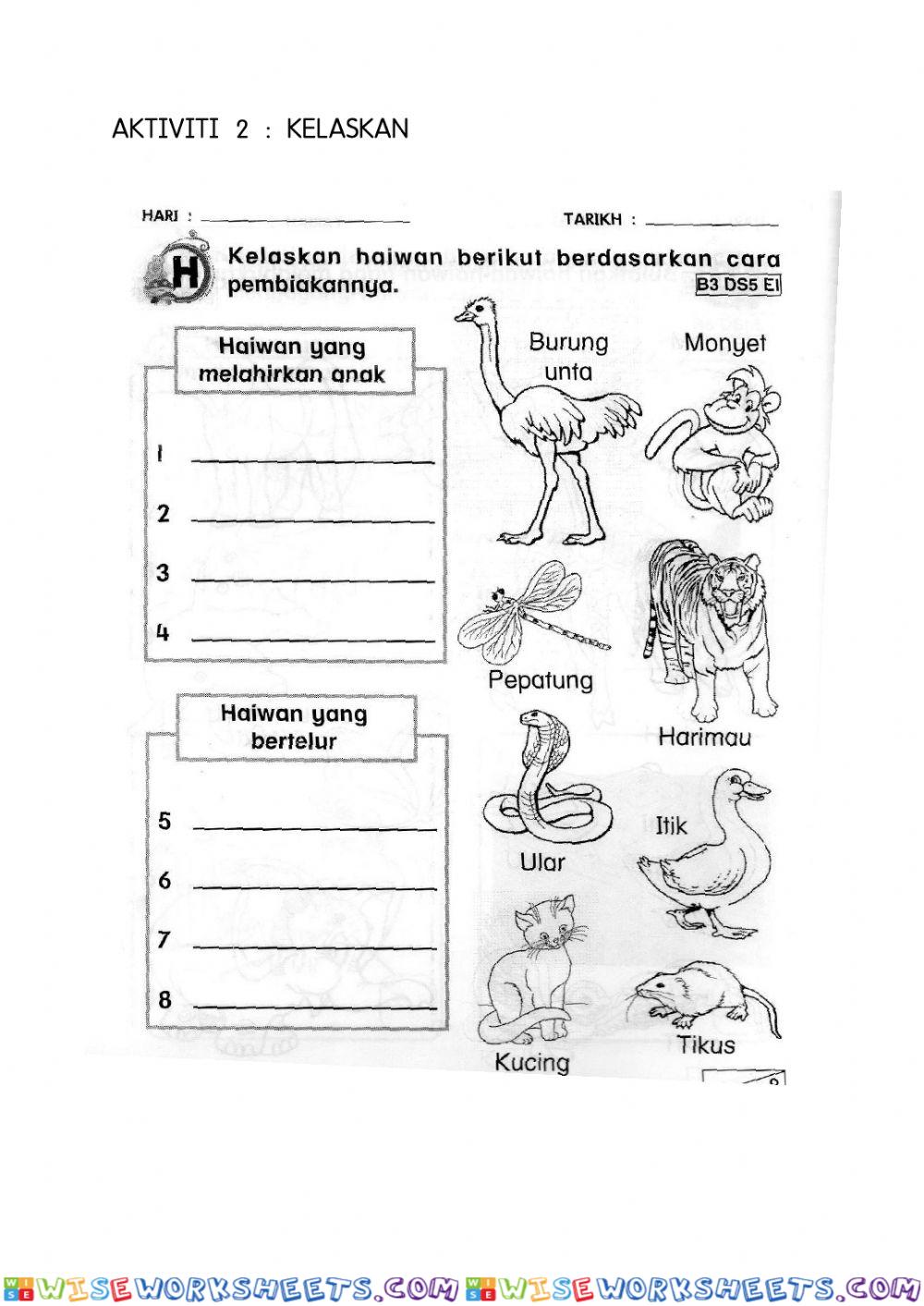 worksheet