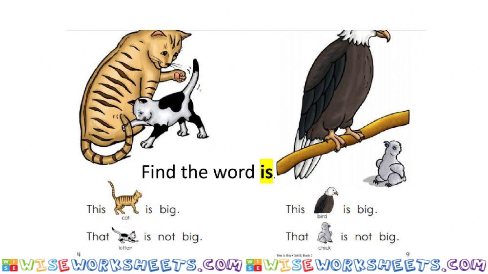 Sight Word Is