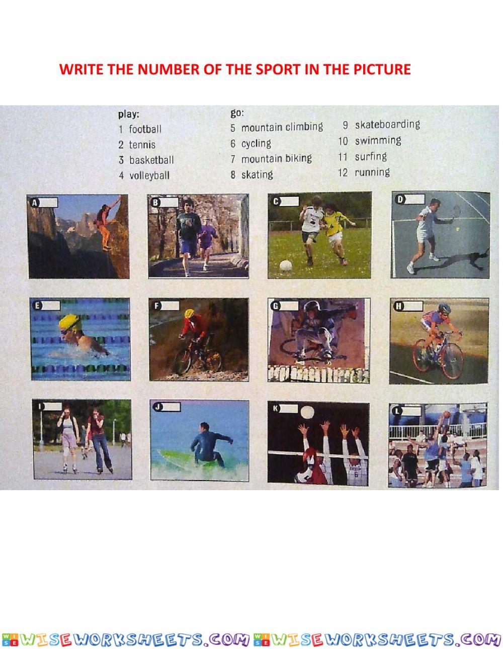 Vocabulary Of Sport And Sickness