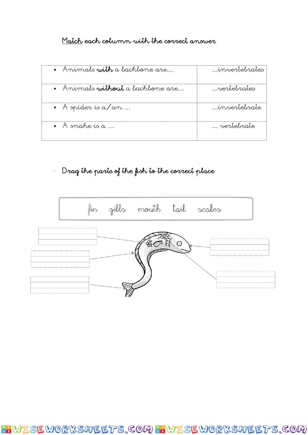Vertebrates-invertebrates and fish