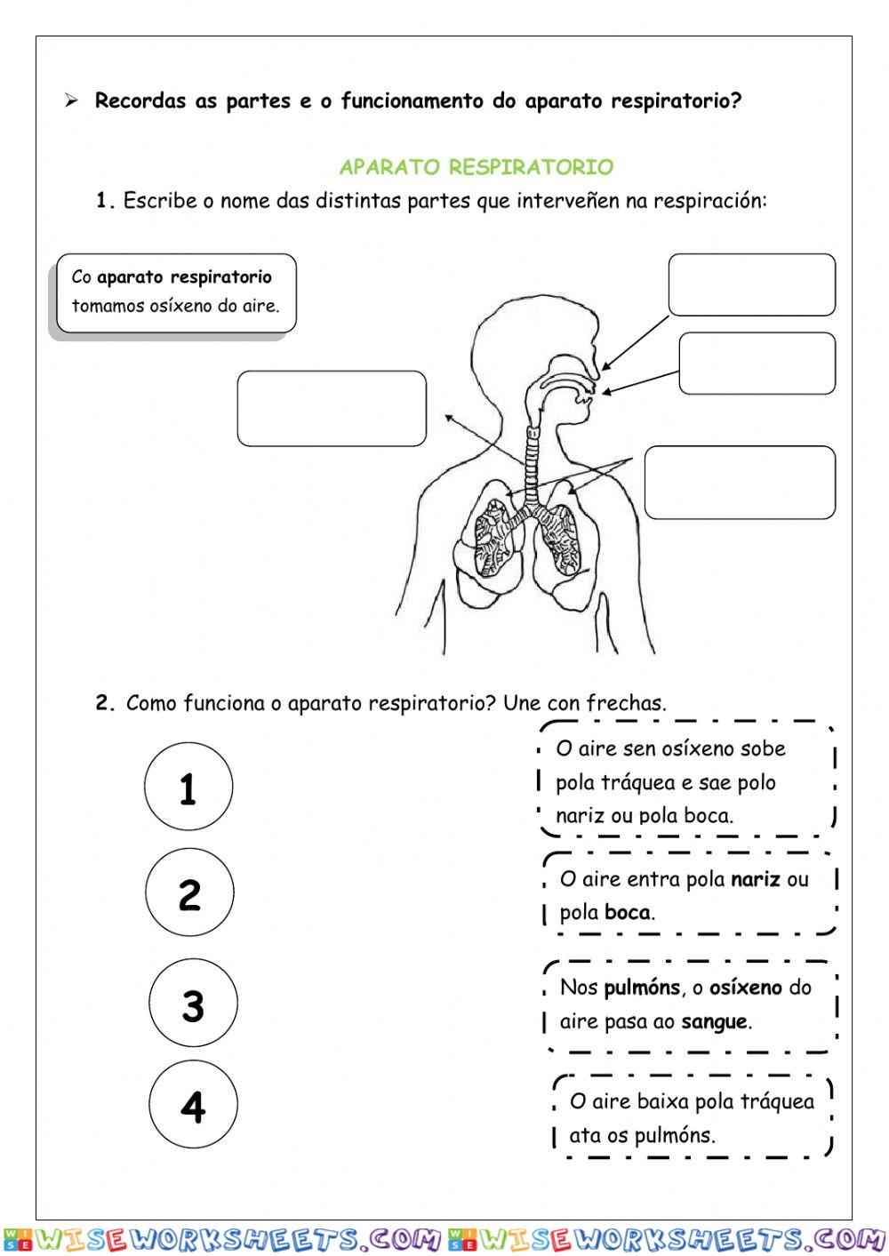 worksheet