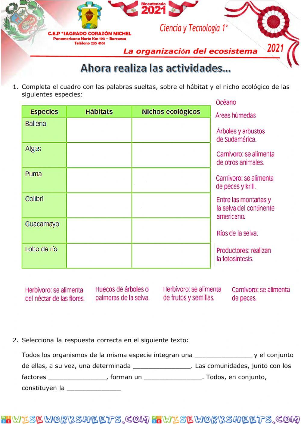 La organización del ecosistema