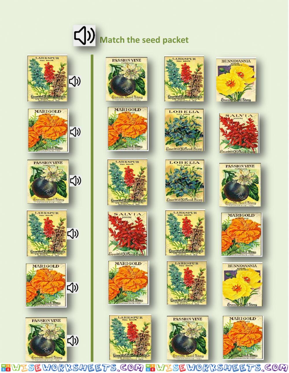 Match the seed packet - Page 1 - LN