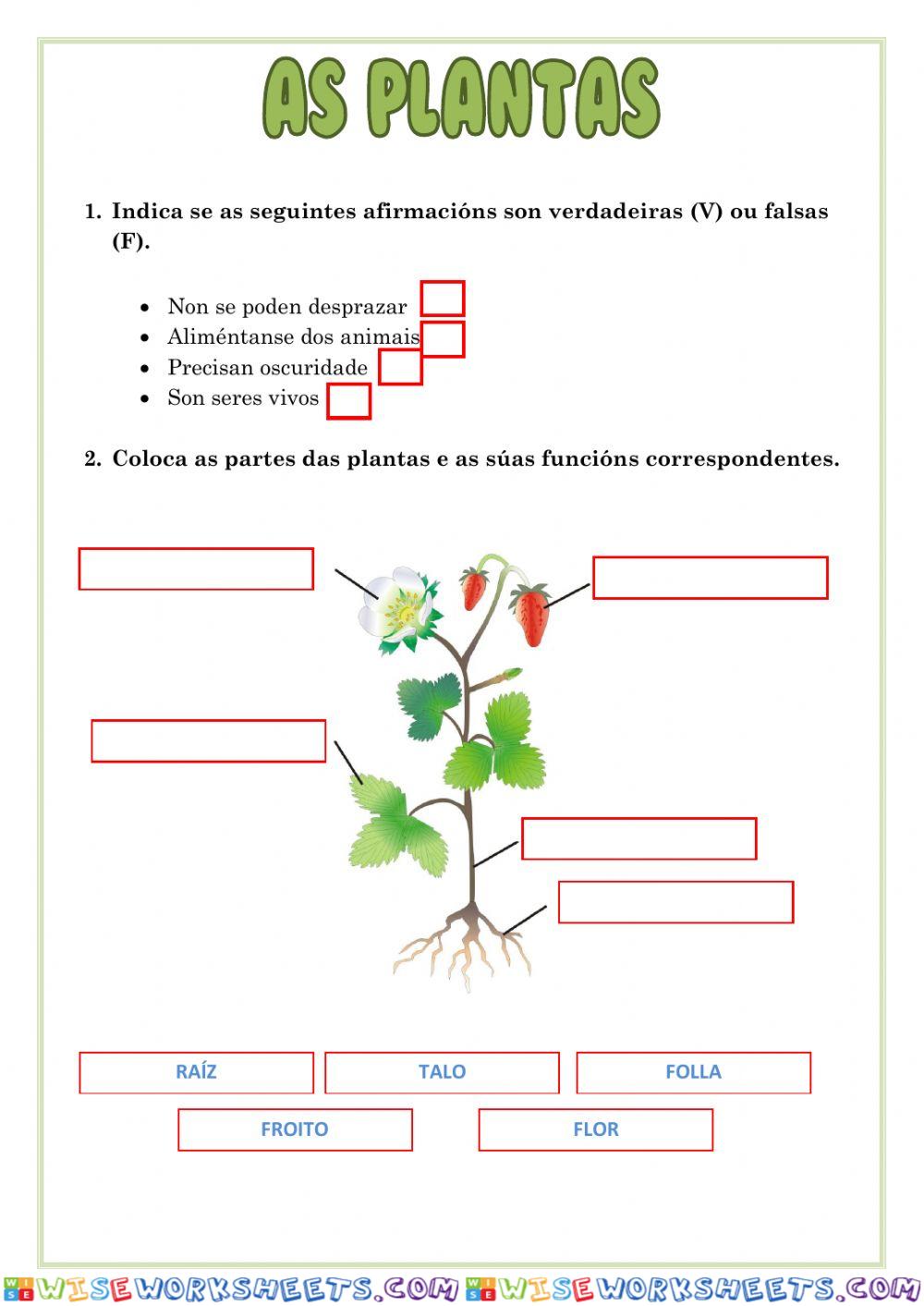 As plantas