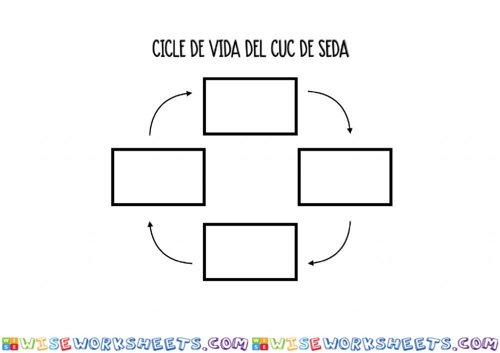 Ciclo vida gusano seda