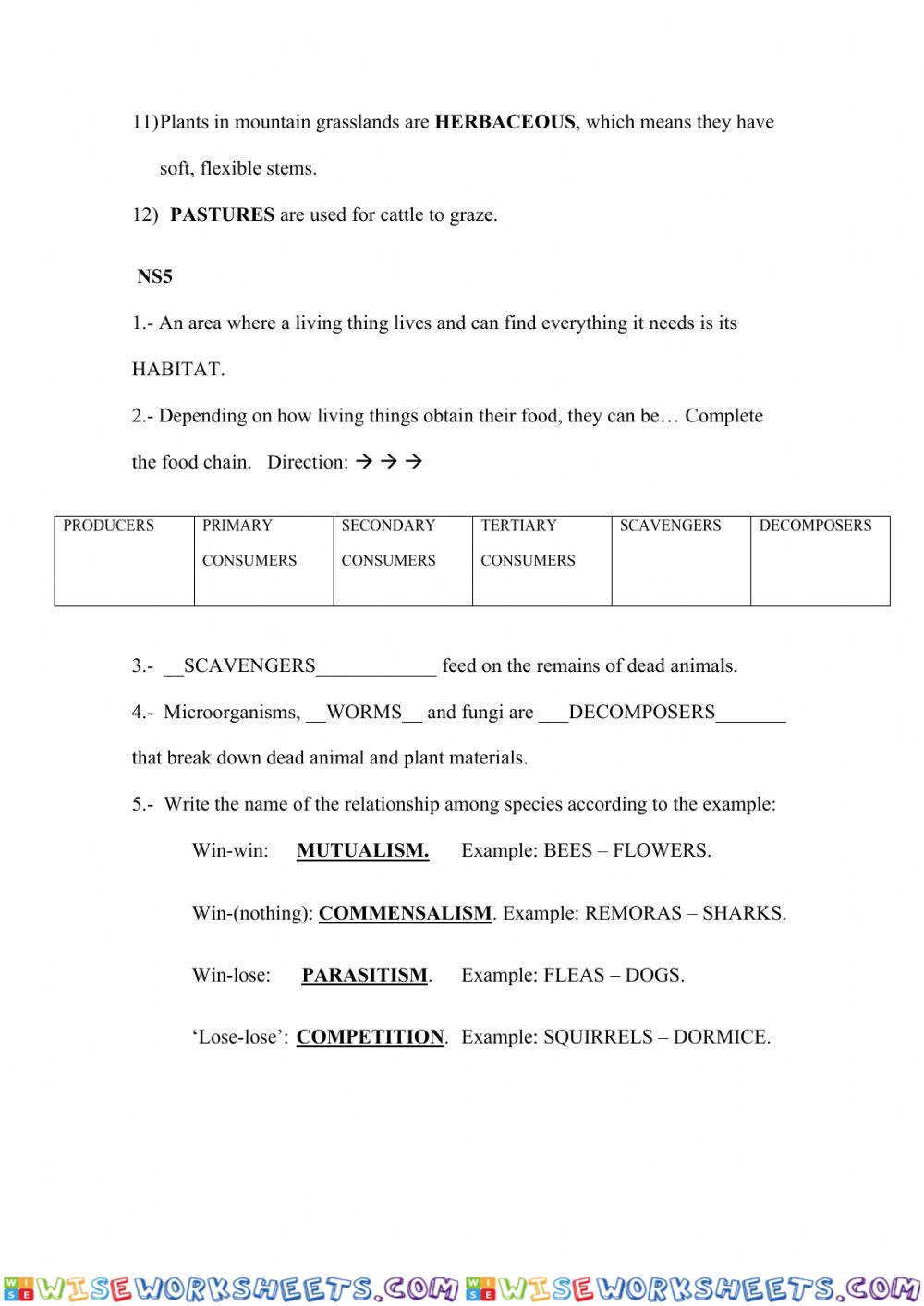 worksheet