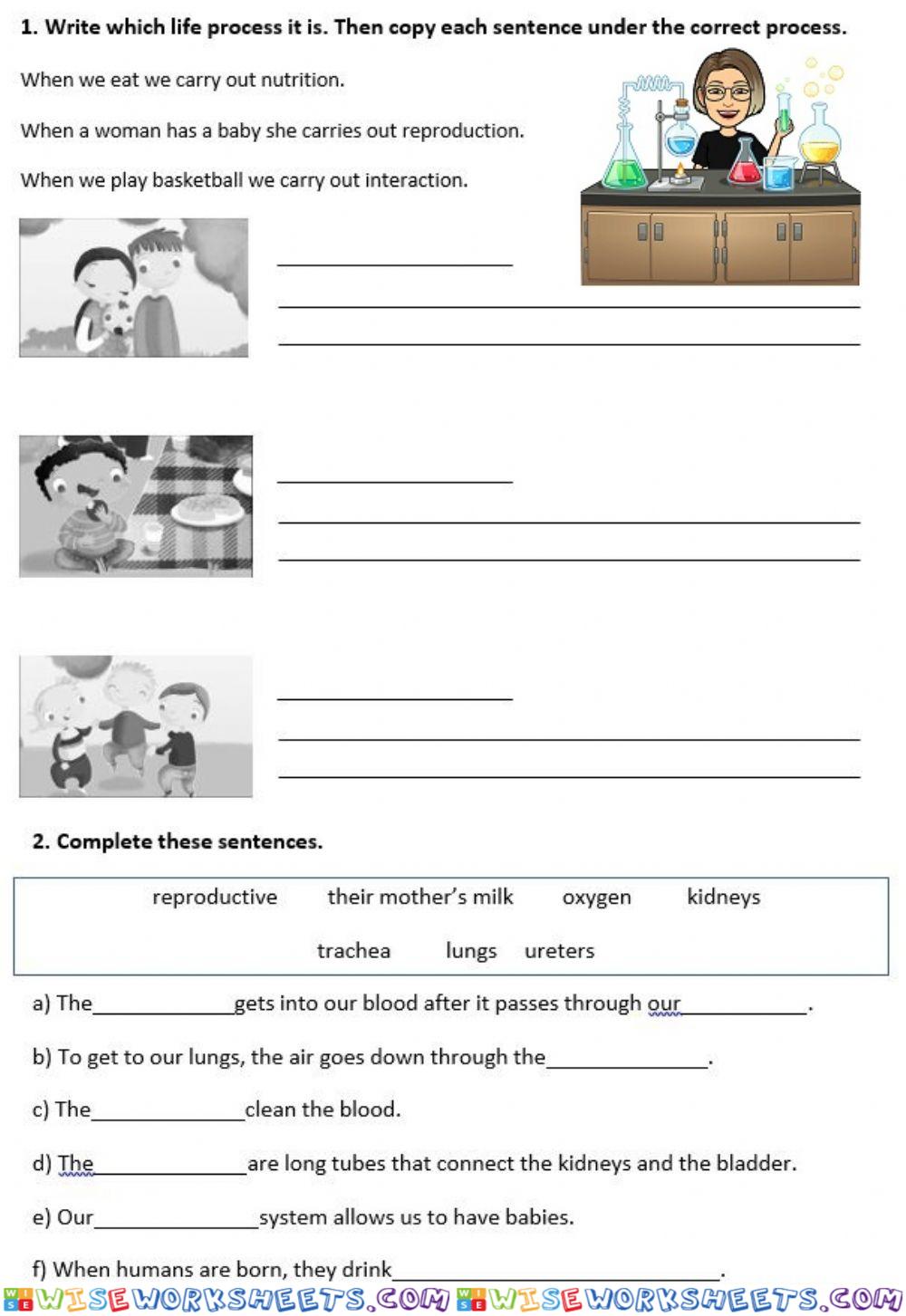 Science REVISION