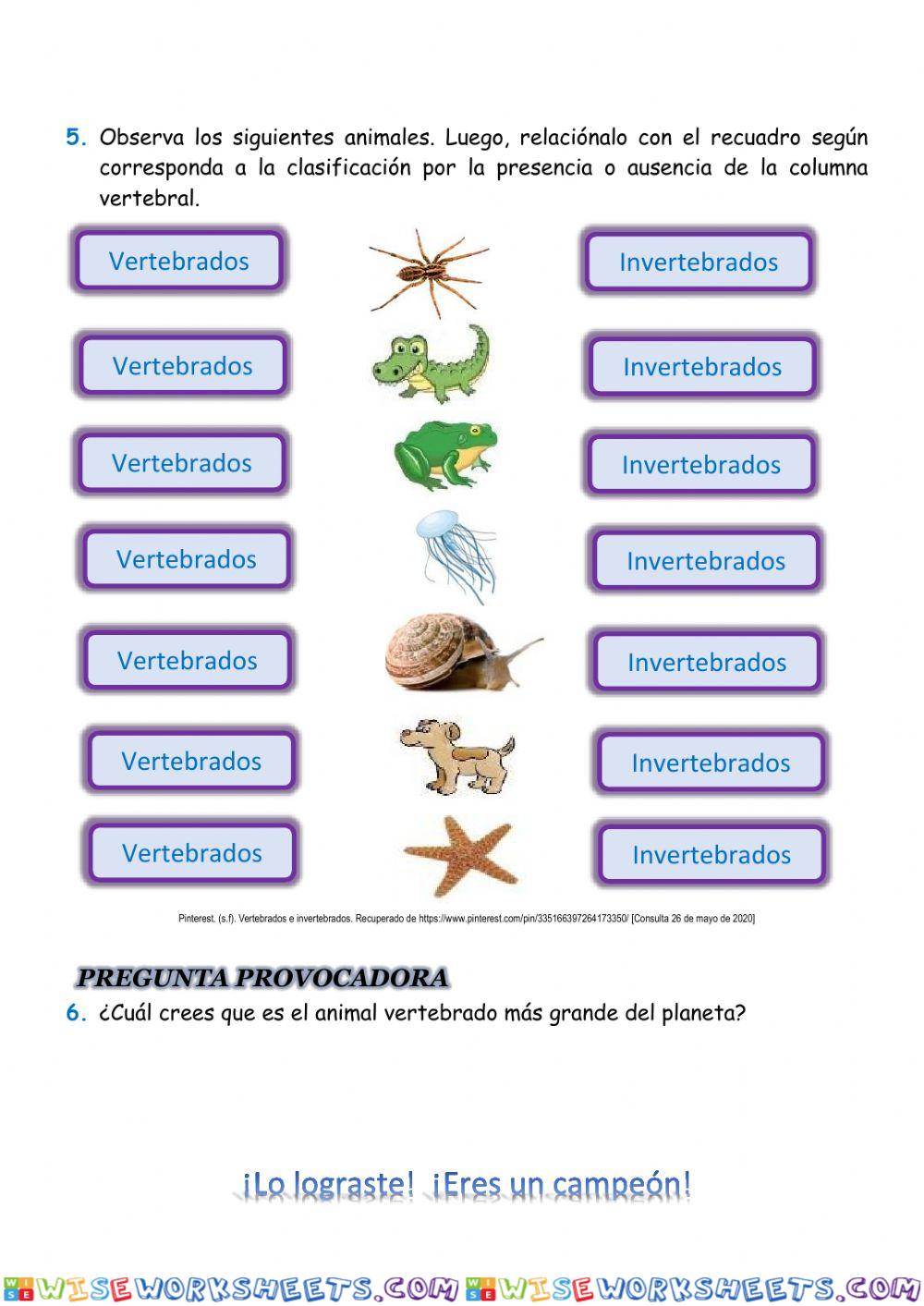 Bioacción de Ciencia (5,6)