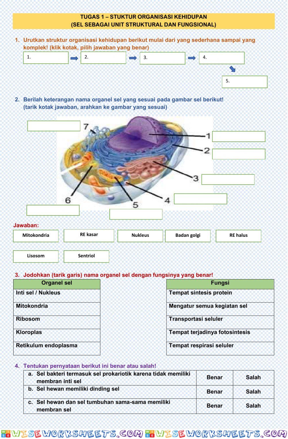 worksheet