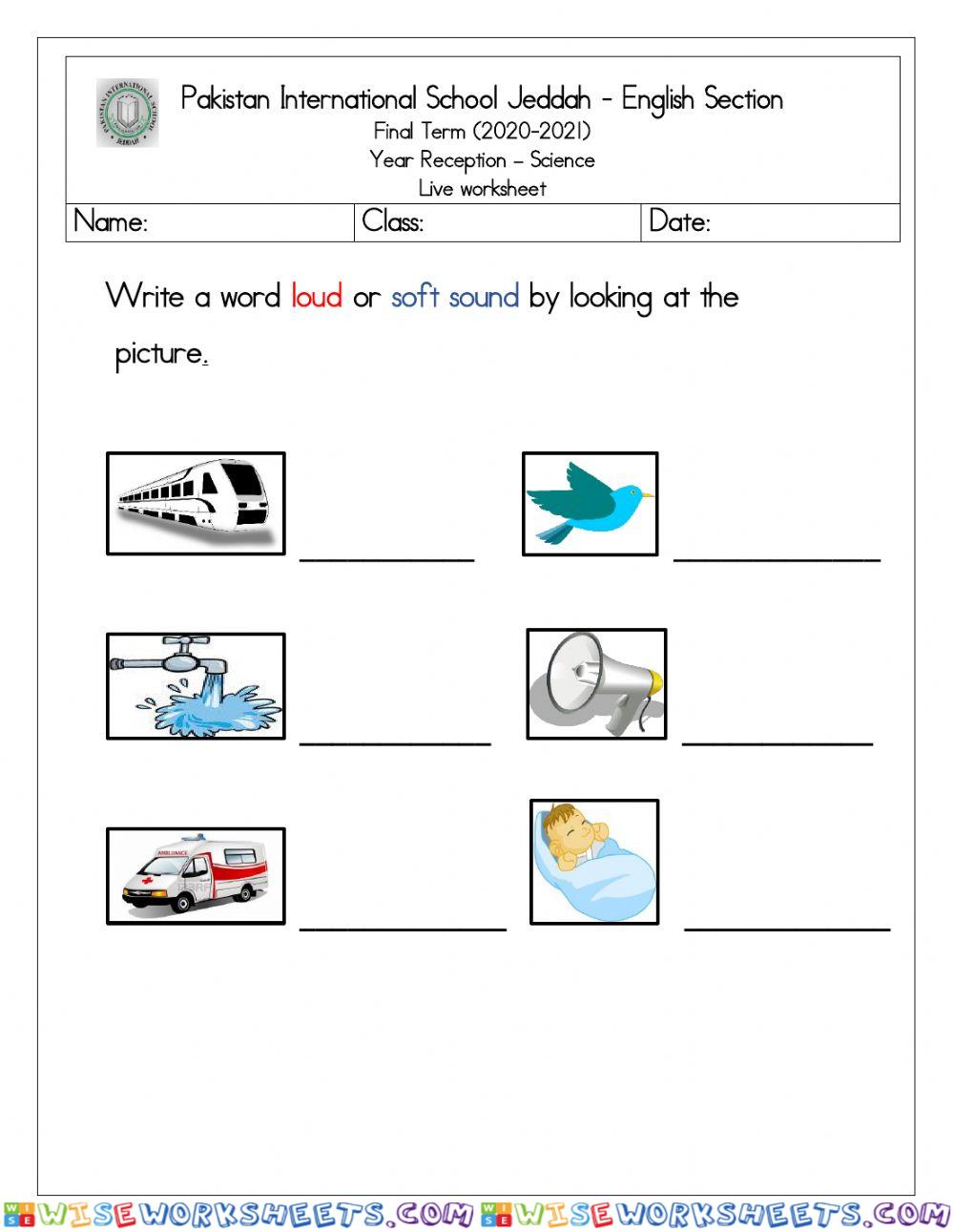 Science live worksheet sources of sound