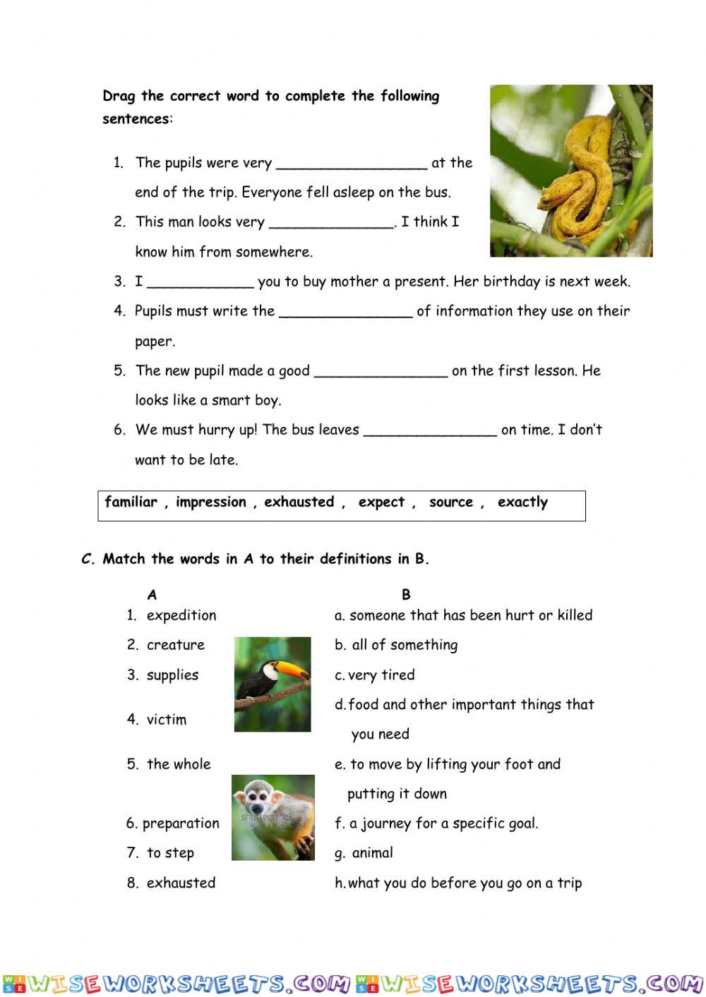 worksheet