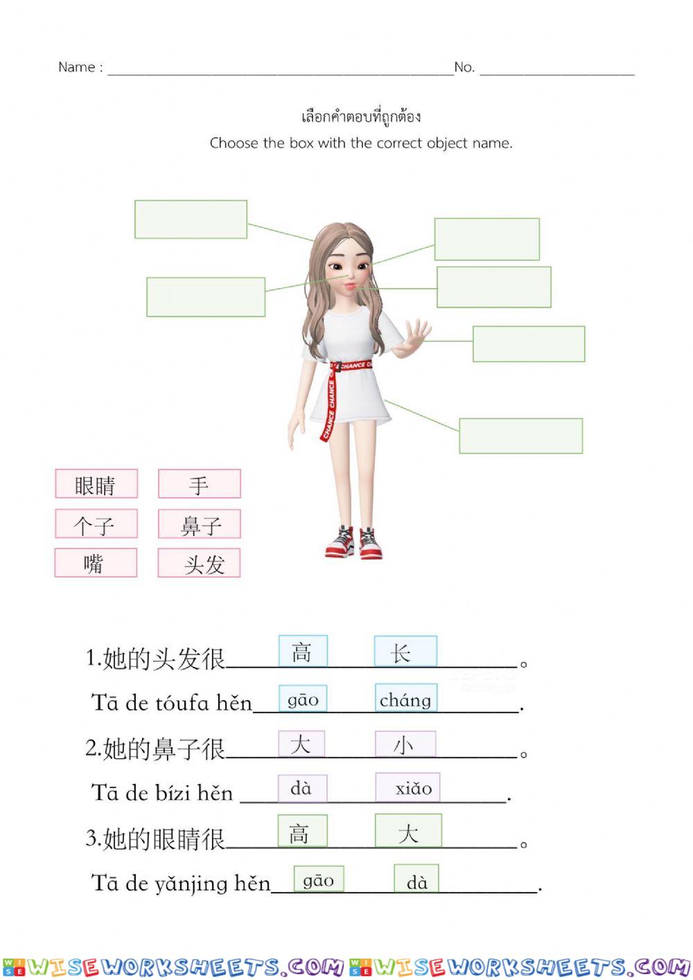 Y.7 แบบฝึกหัด