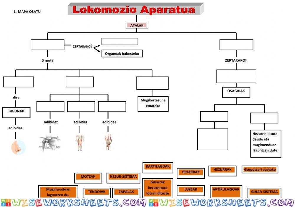 Lokomozio aparatua