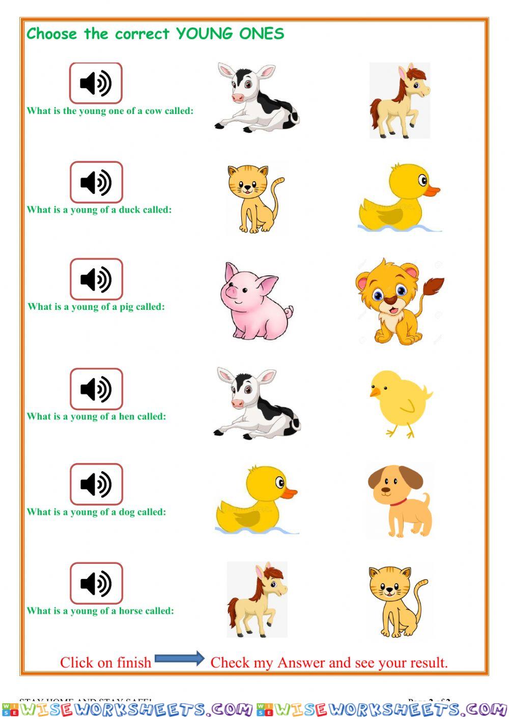 worksheet
