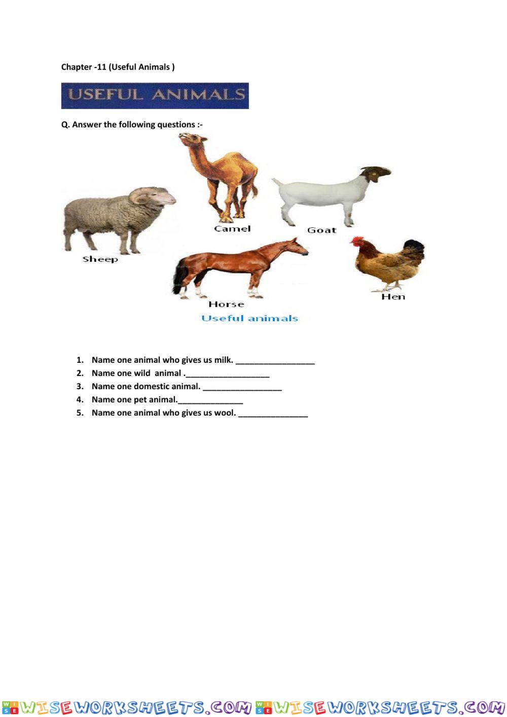 Useful Animals