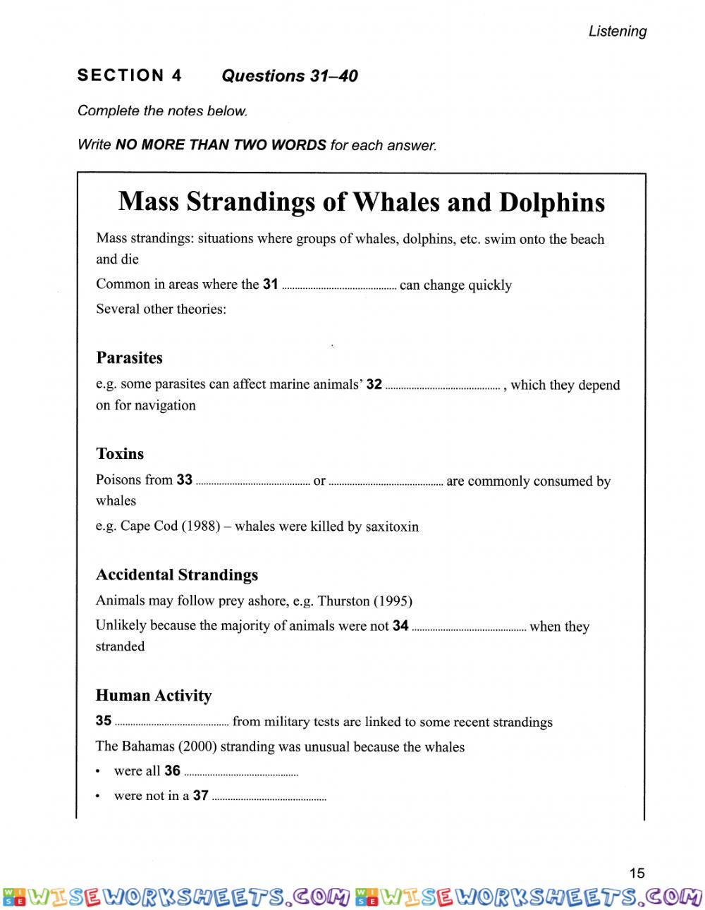 worksheet