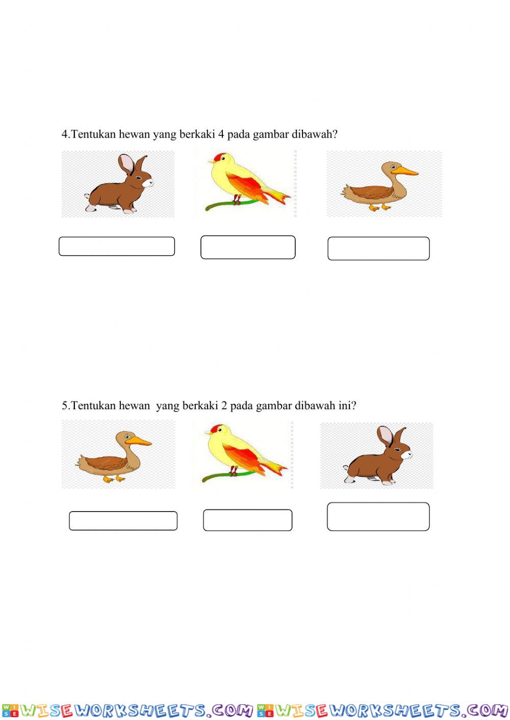worksheet