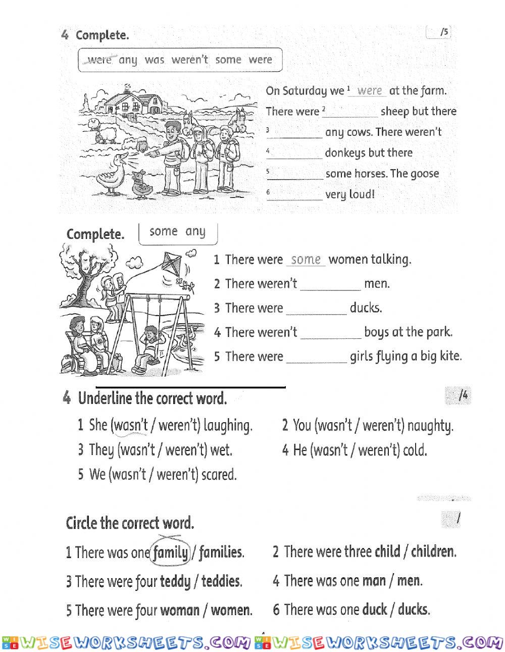 worksheet