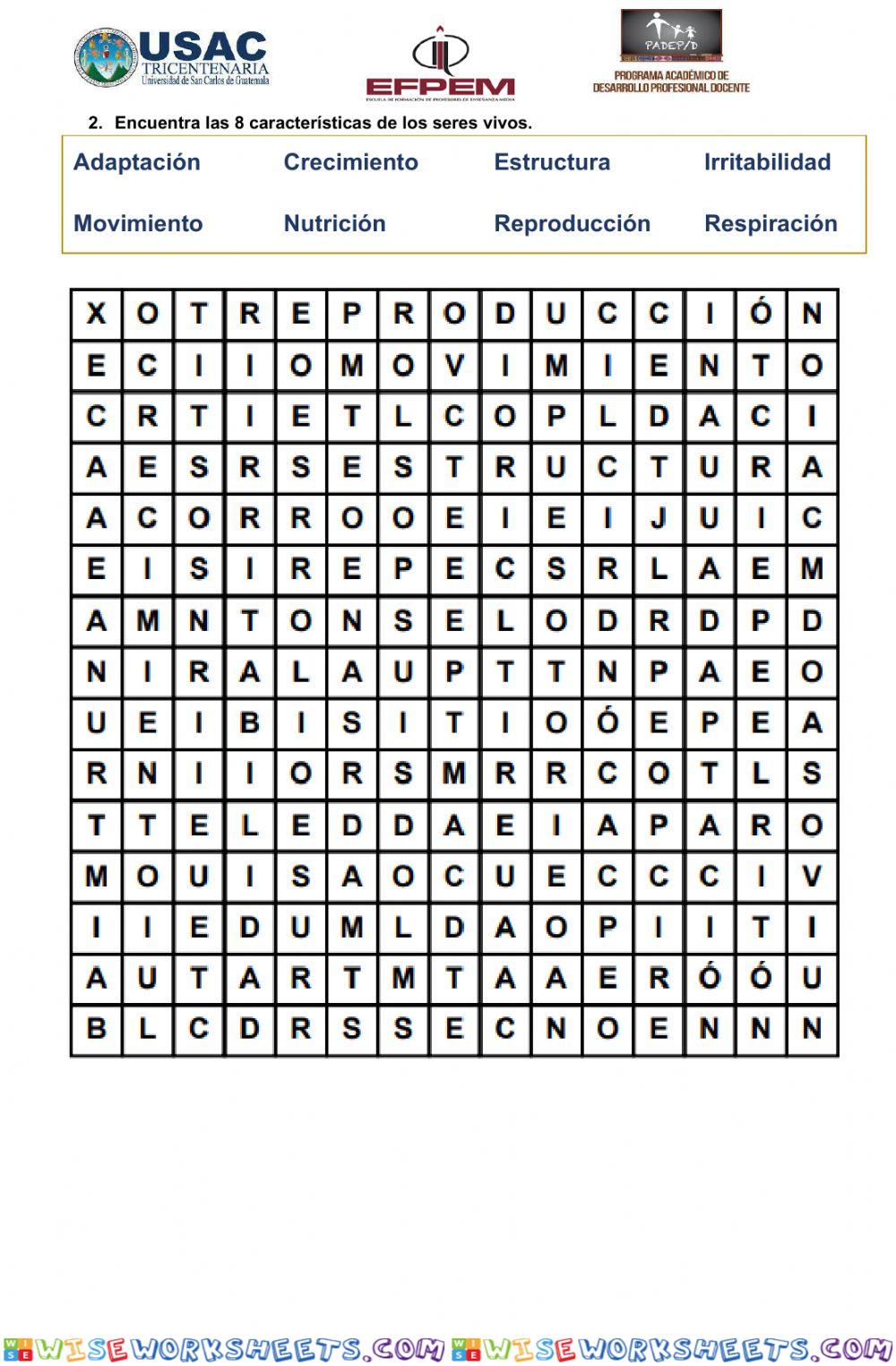 worksheet