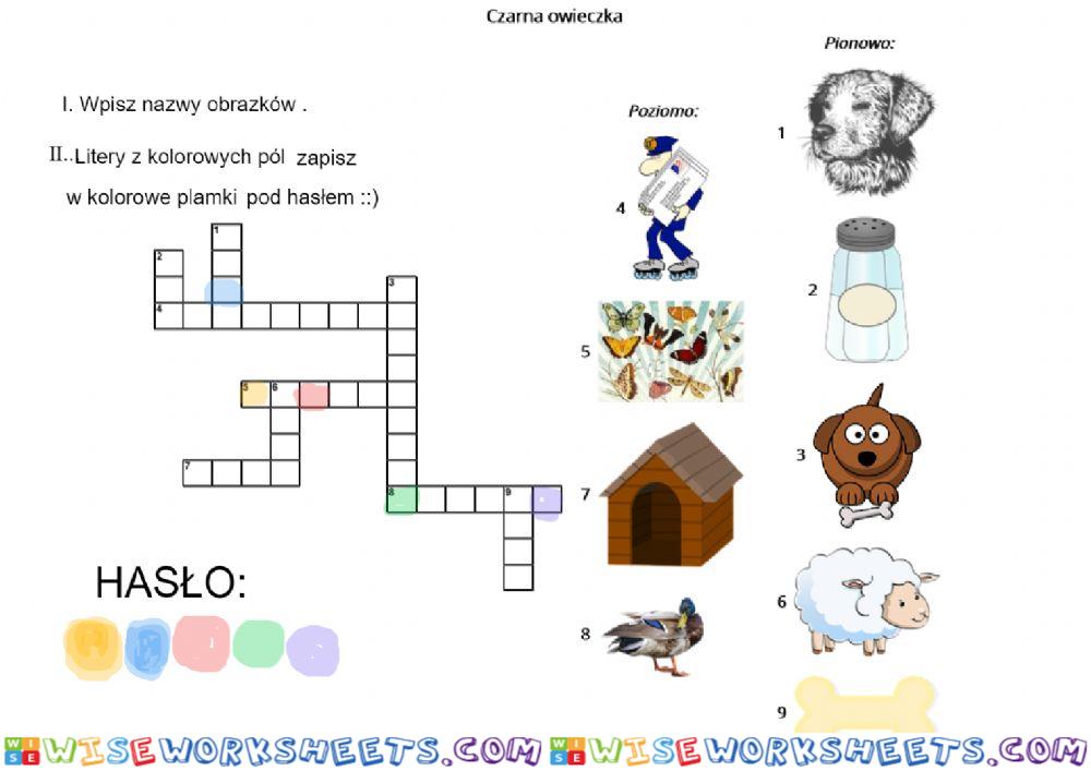 Krzyżówka do -Czarnej owieczki-