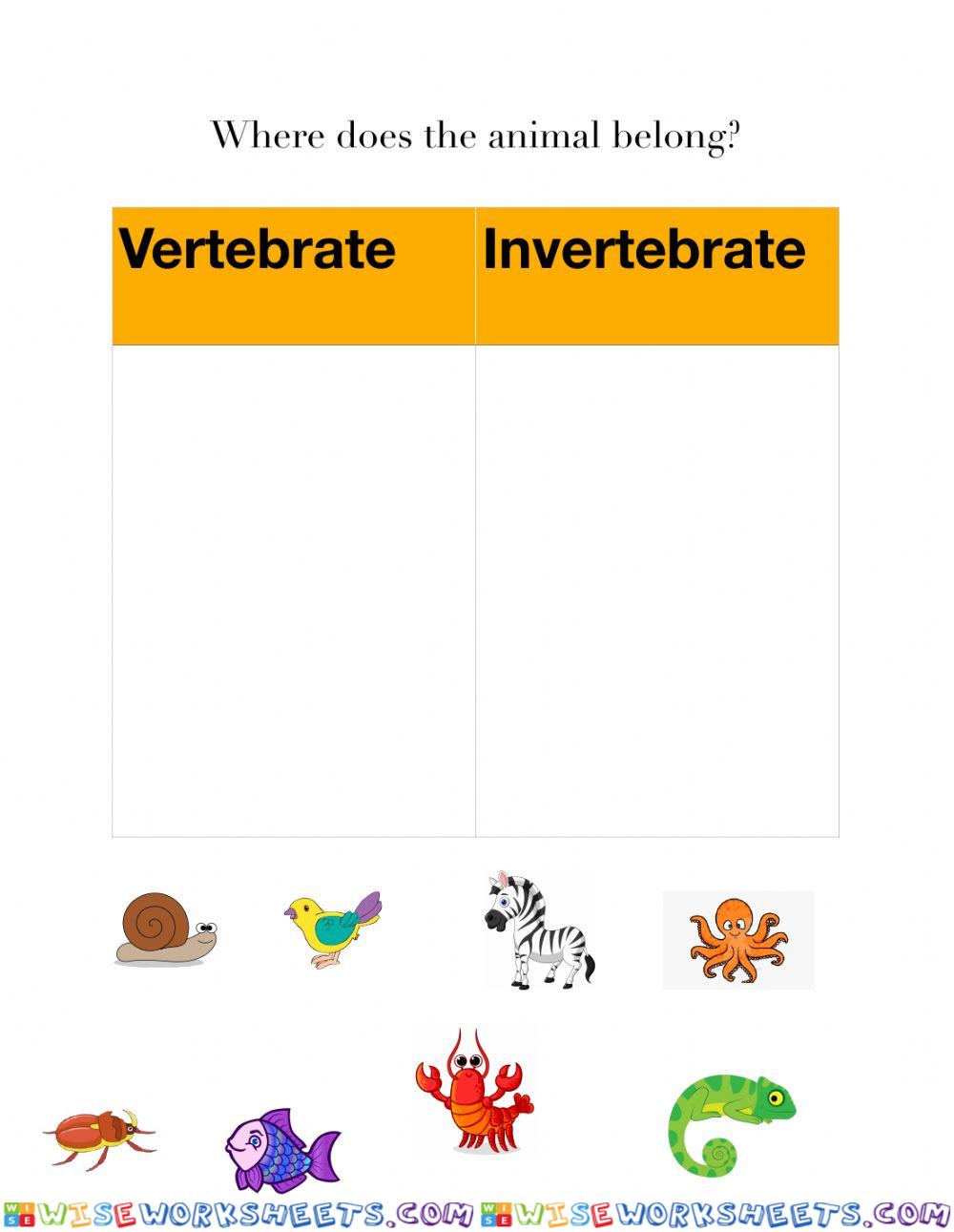 Vertebrates vs. Invertebrates