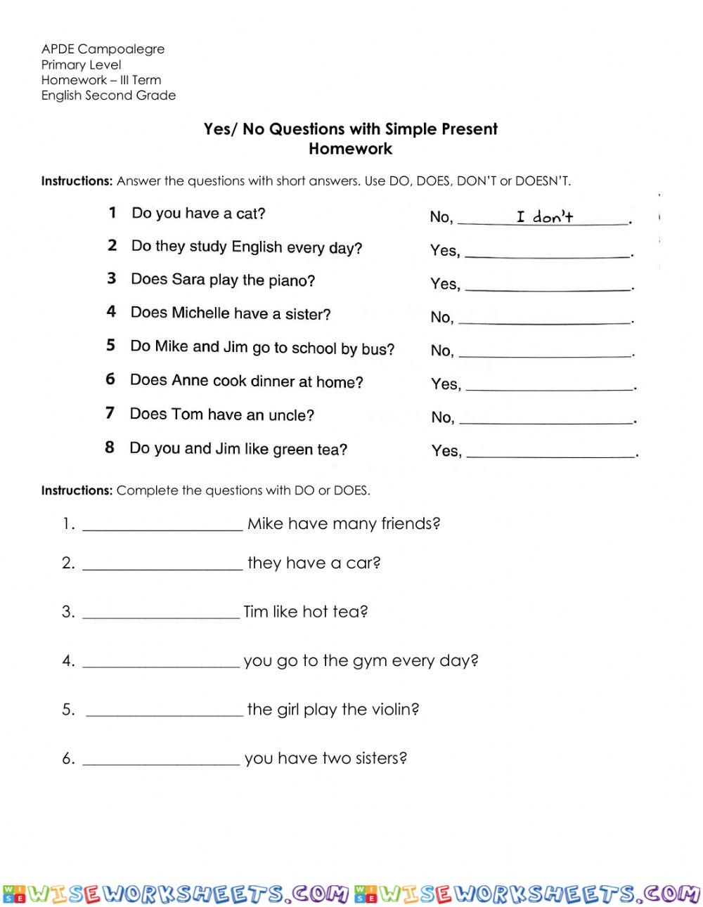 Yes no questions simple present homework
