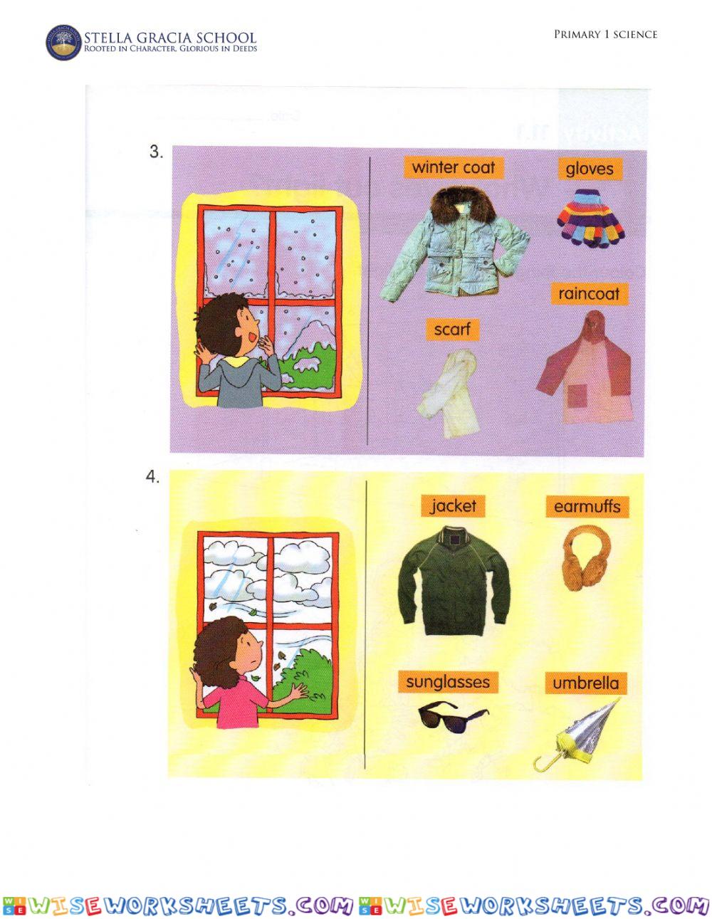 worksheet