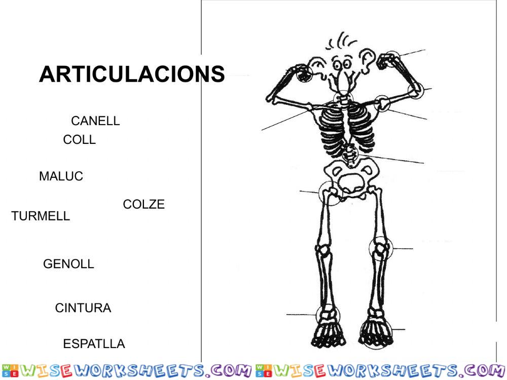 Articulacions