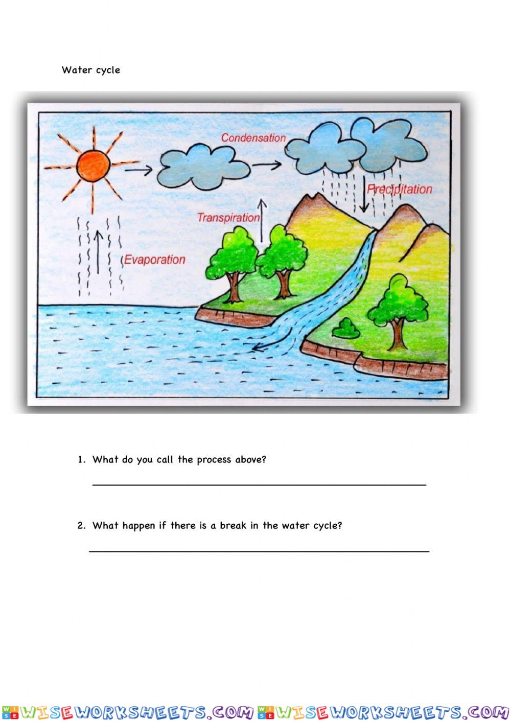 worksheet