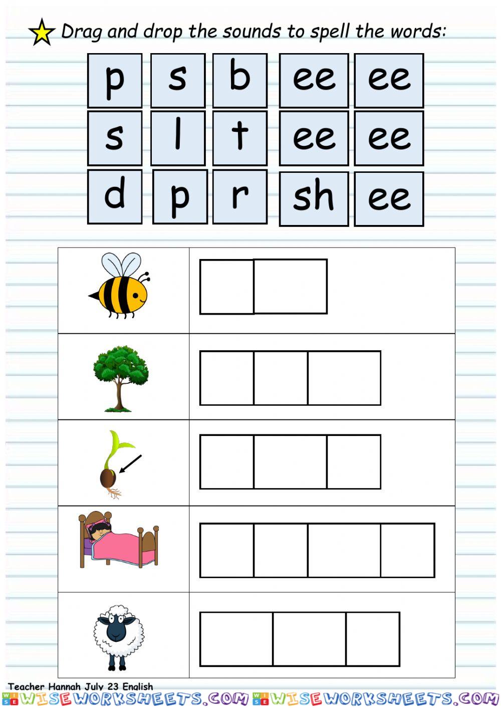 worksheet