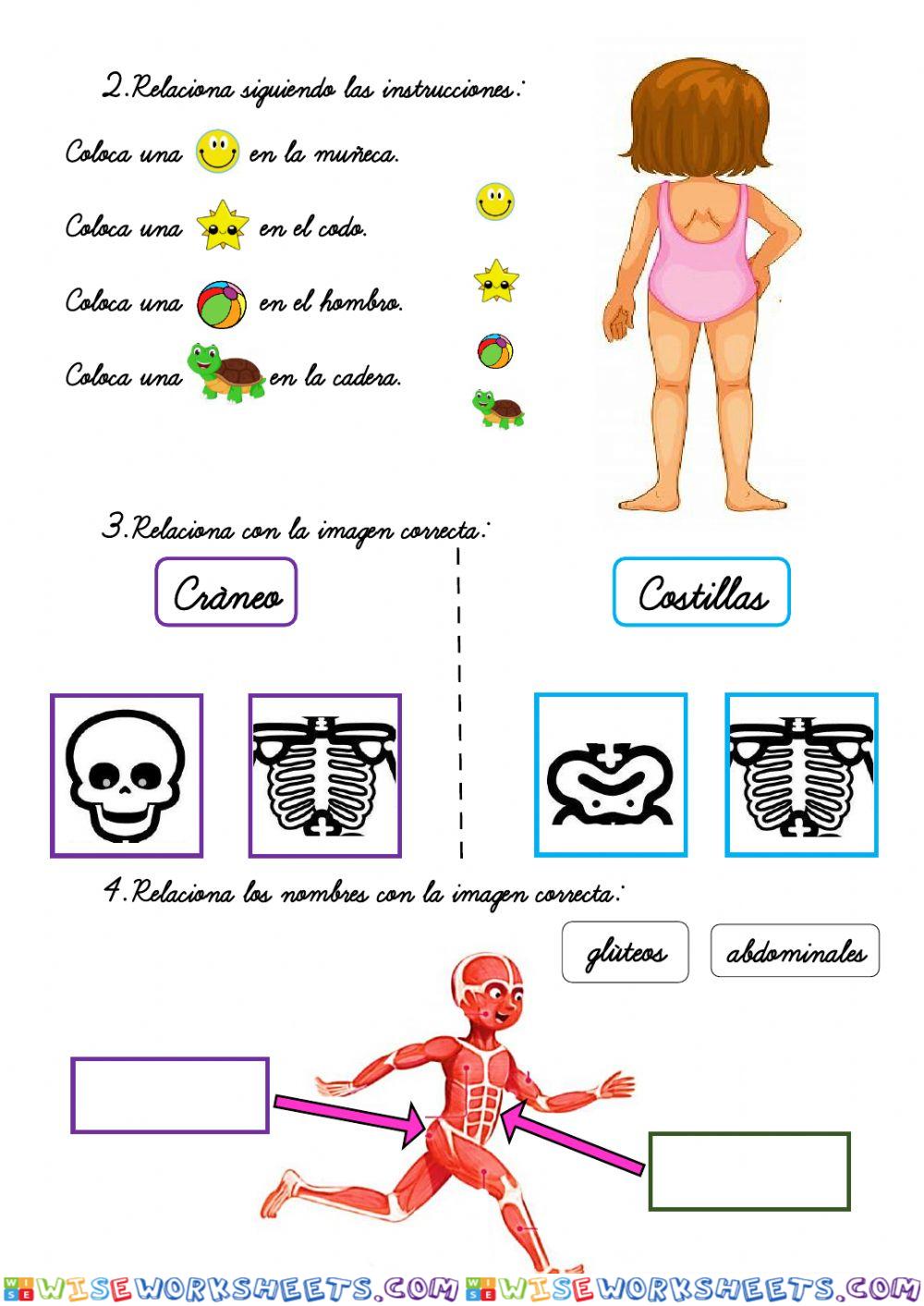 worksheet