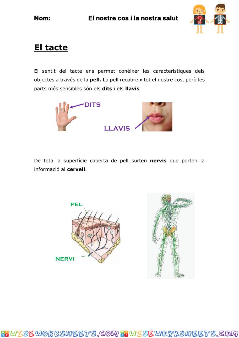 El sentit del tacte