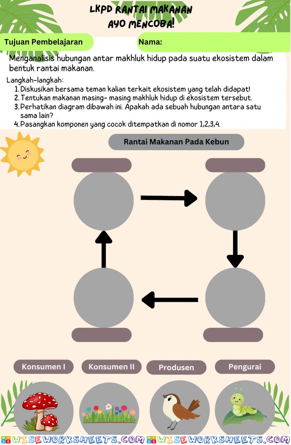 Rantai Makanan Ekosistem Taman