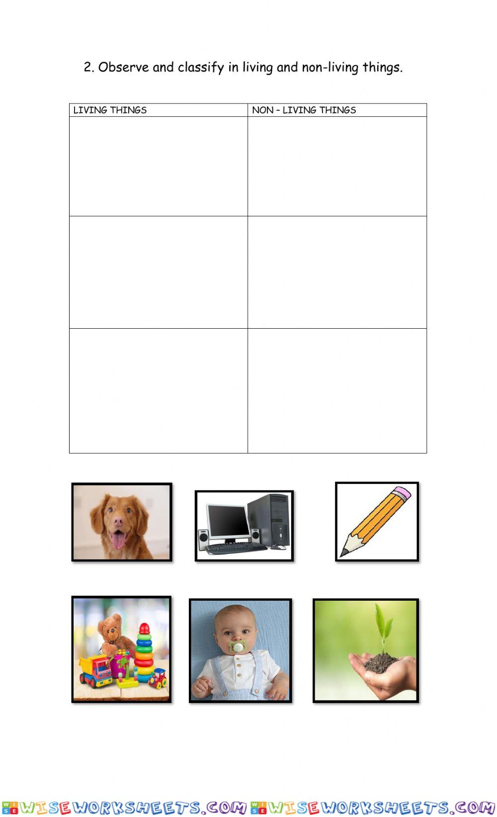 worksheet
