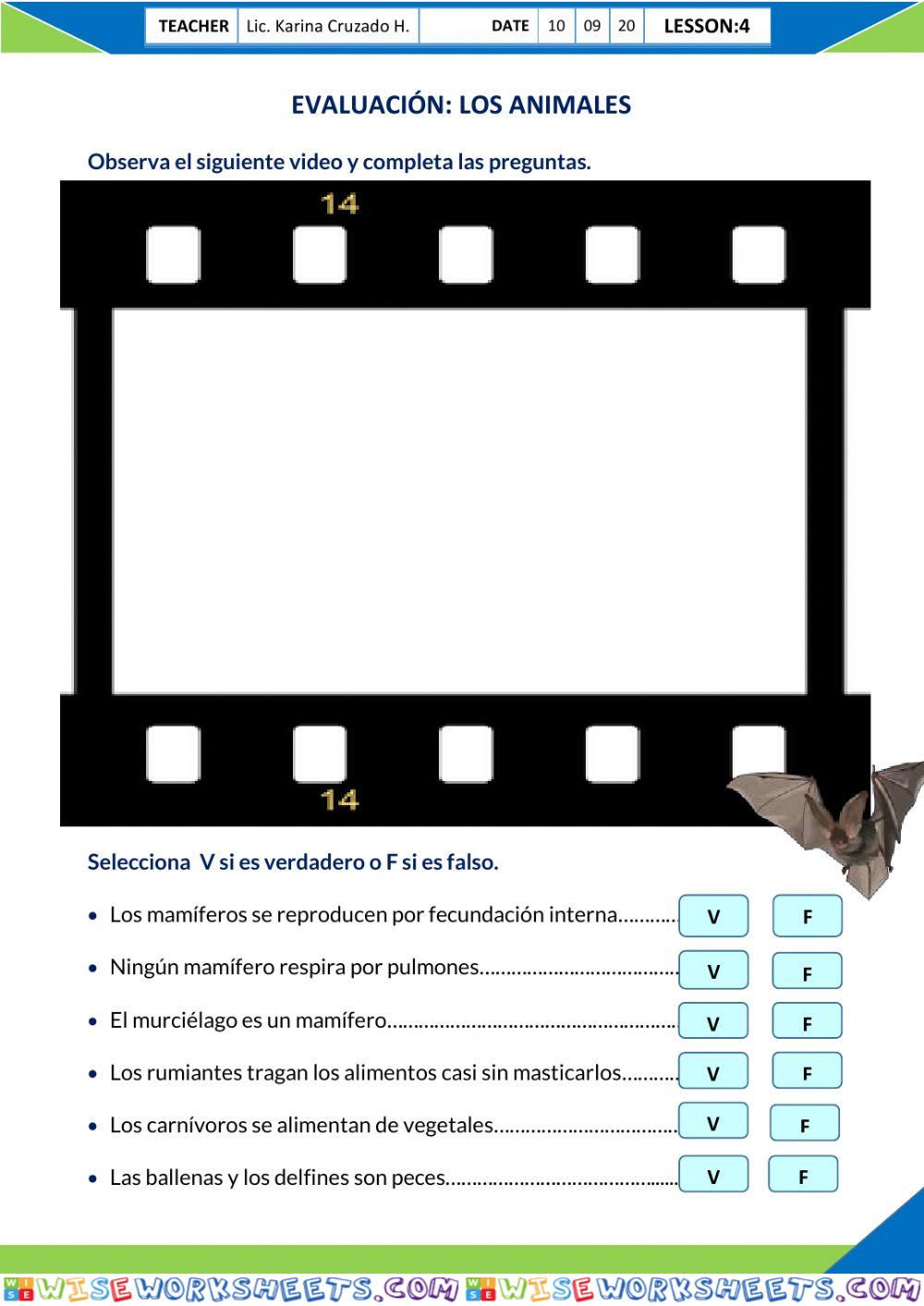 Los animales