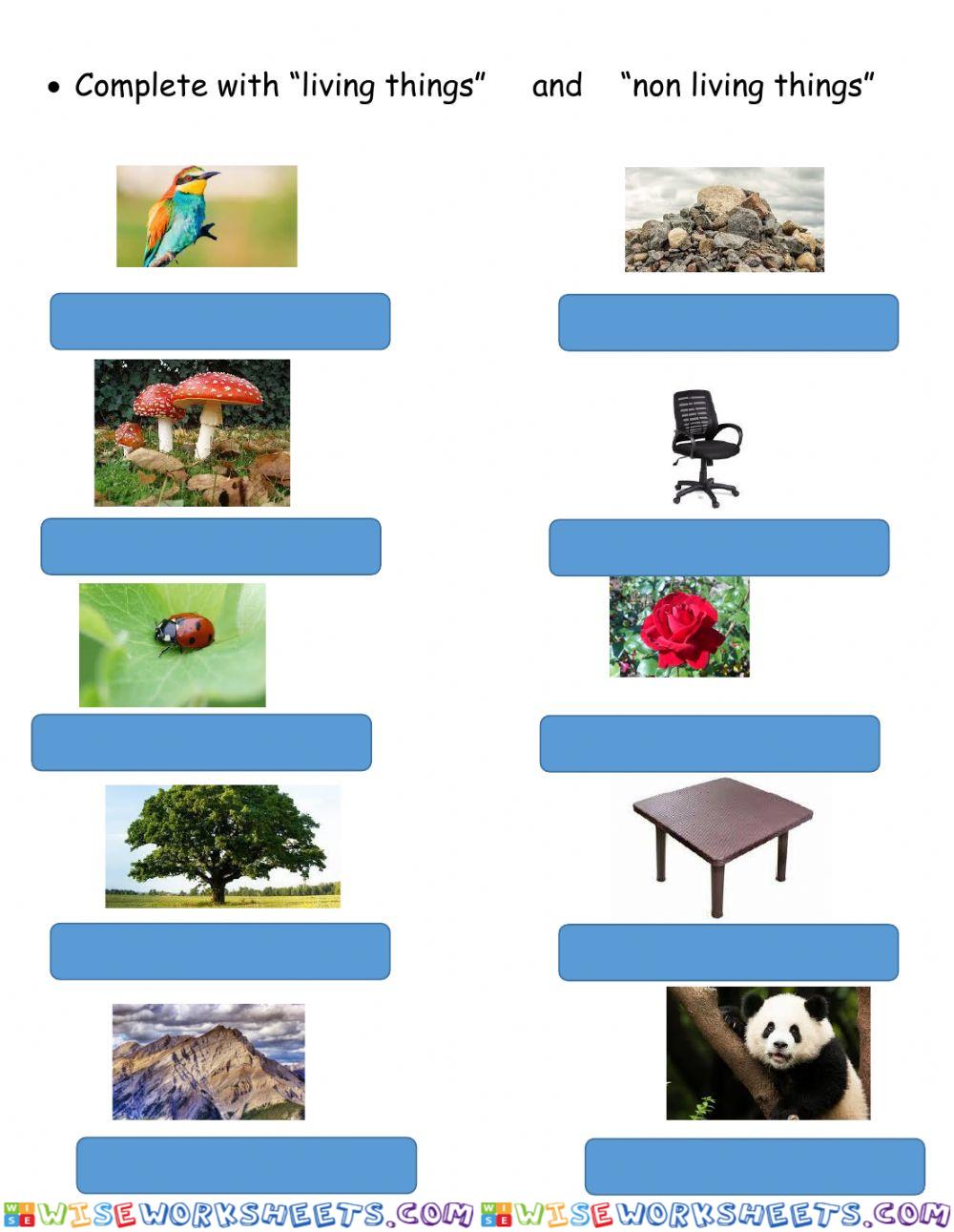 worksheet