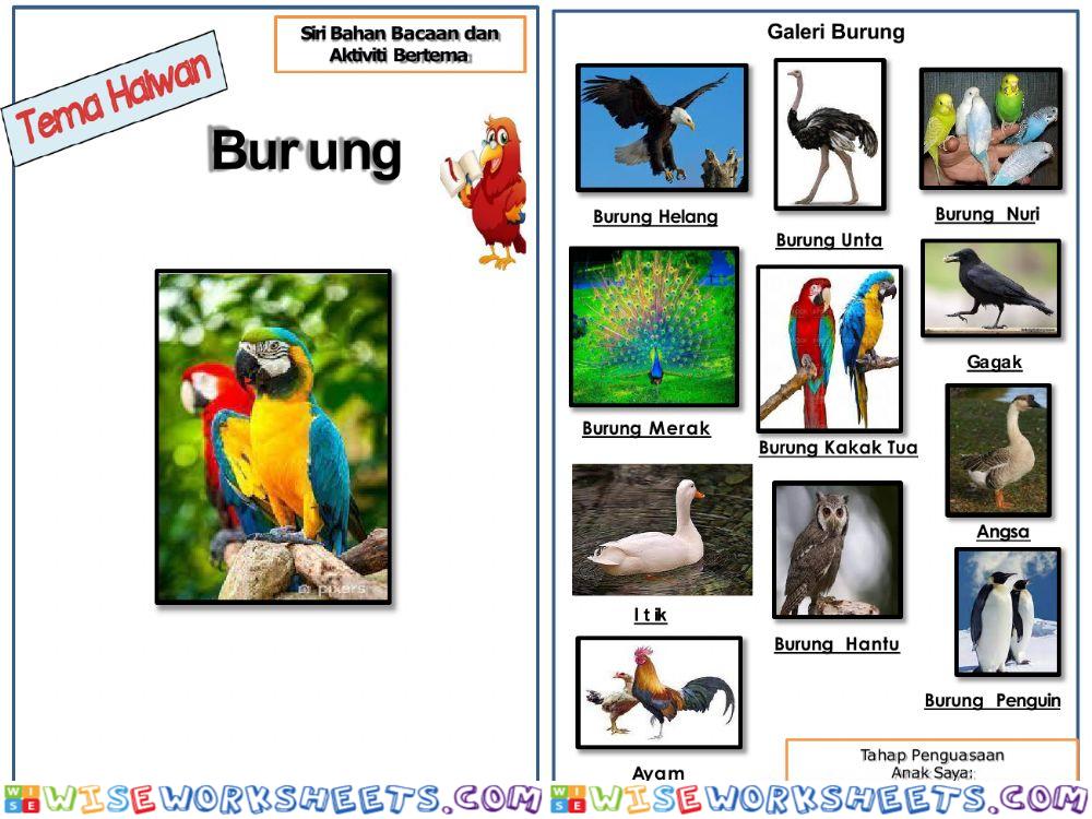 Burung