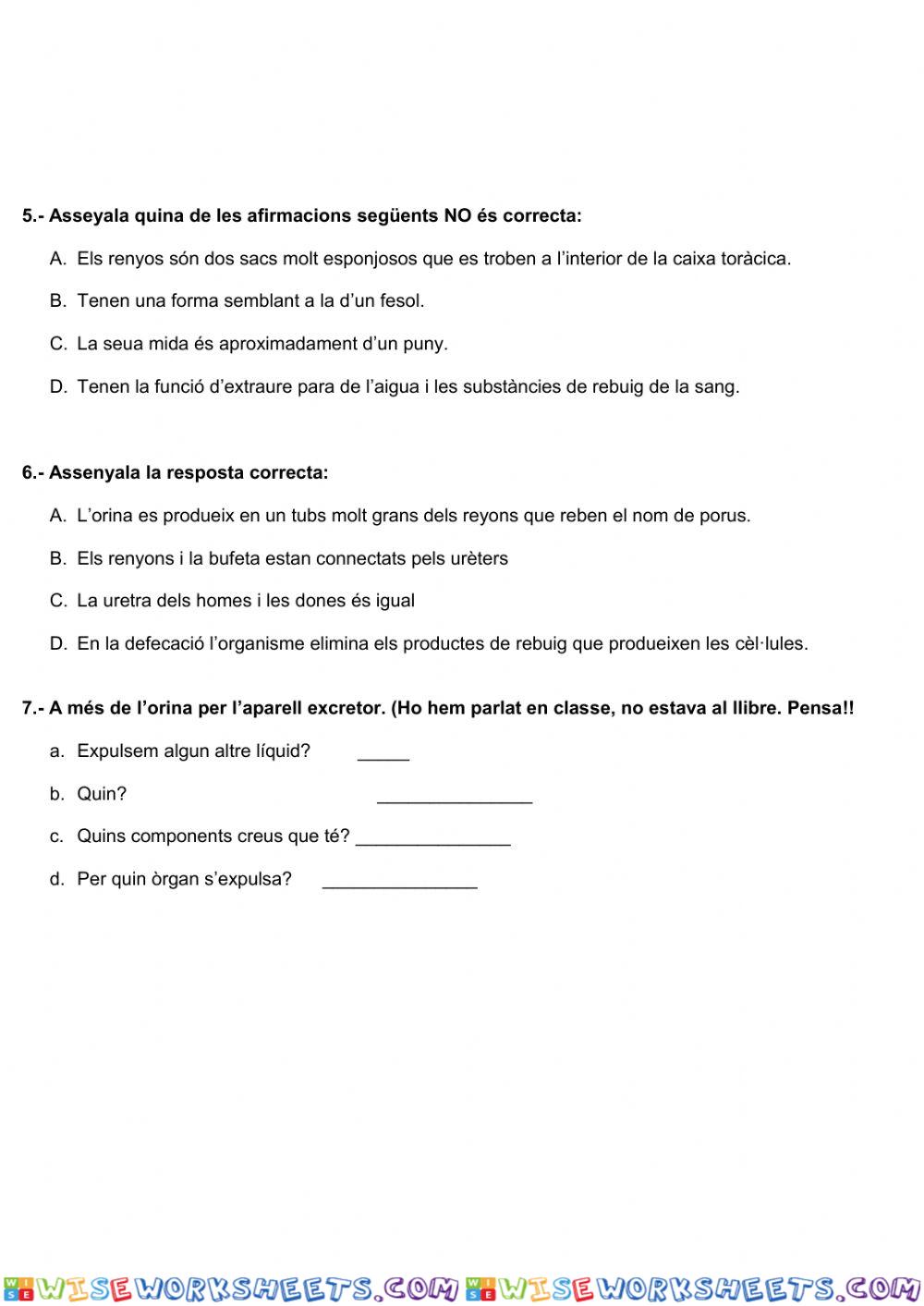 worksheet