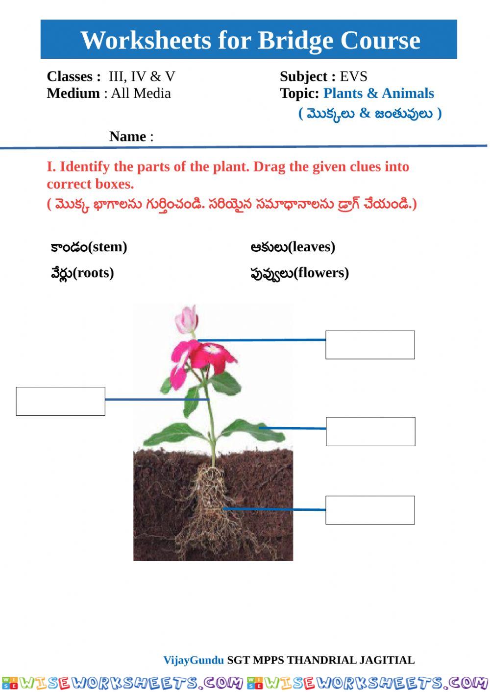 Bridge course evs 1 by Vijay Gundu