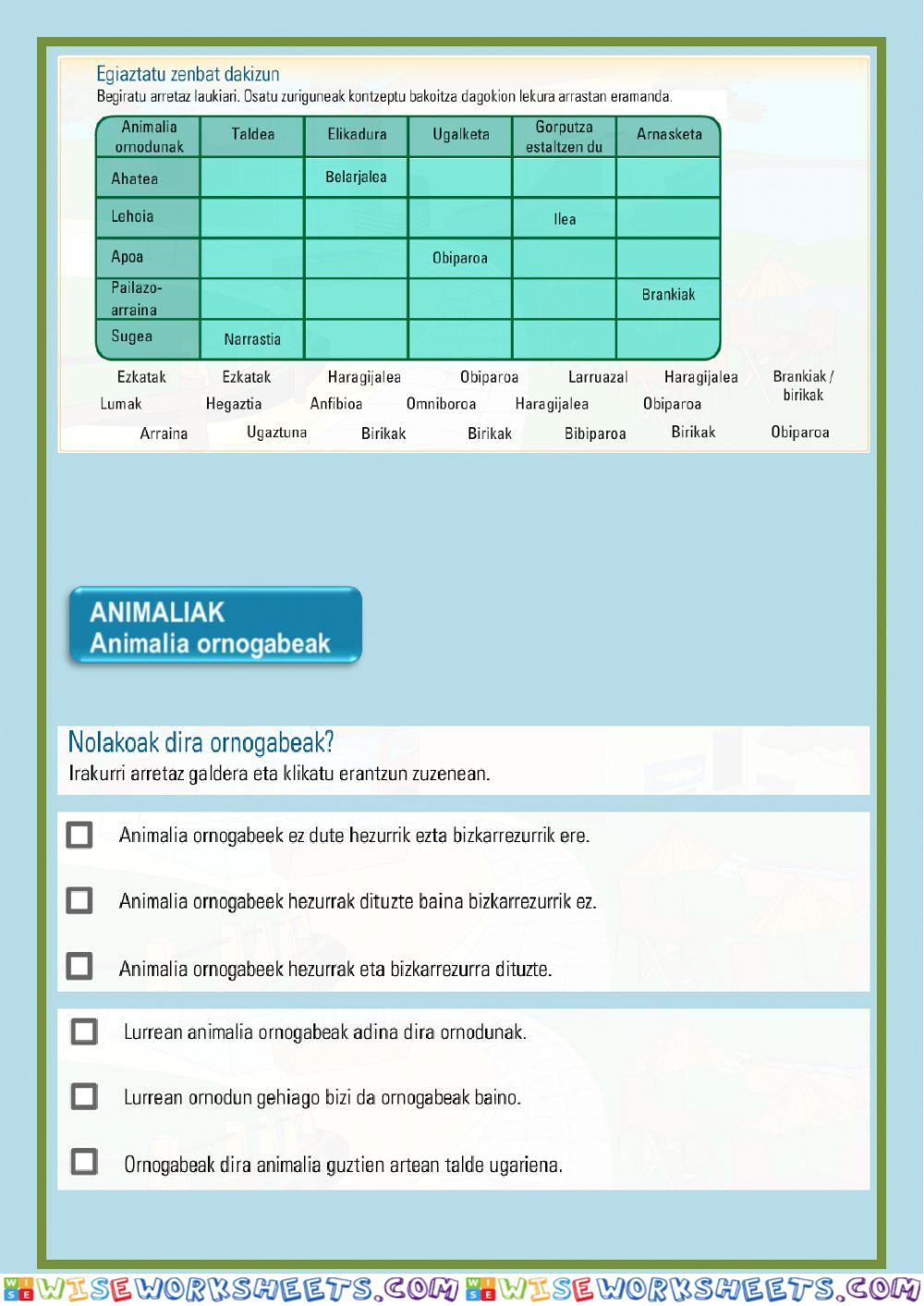 worksheet