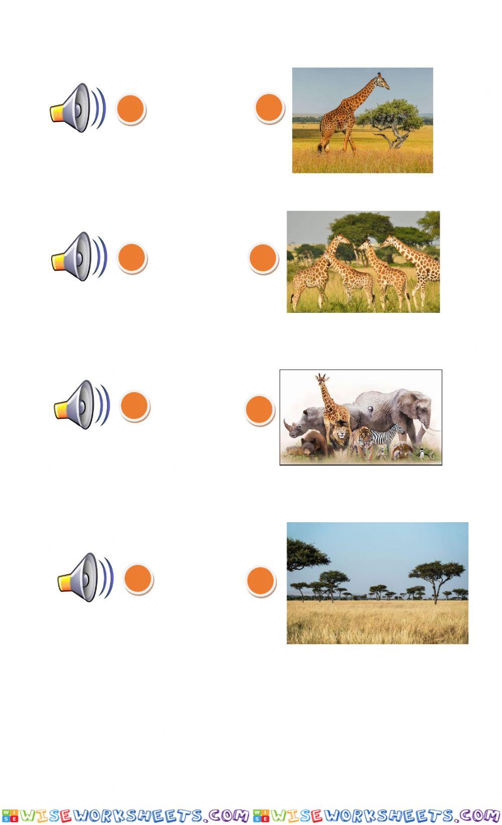 worksheet