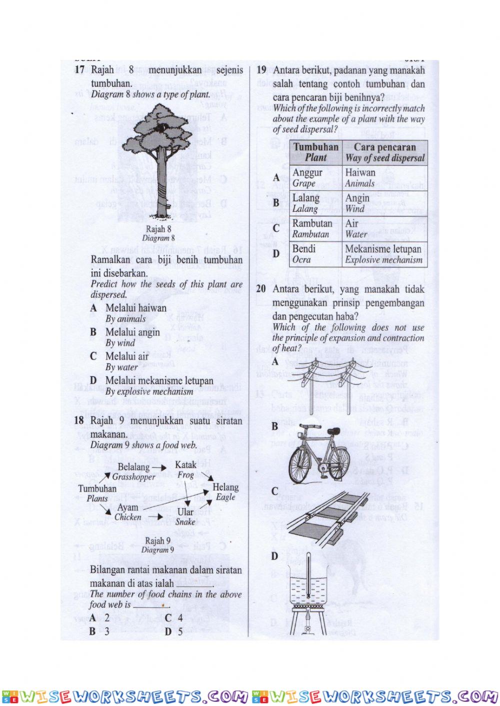 Revision science year 5 (2)