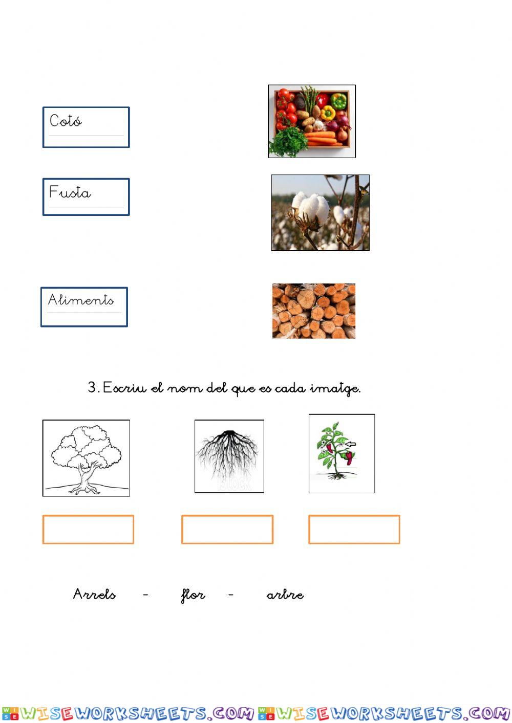 Plantes i que obtenim d'elles