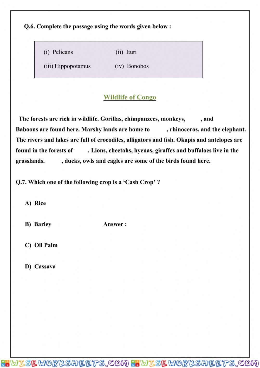 worksheet